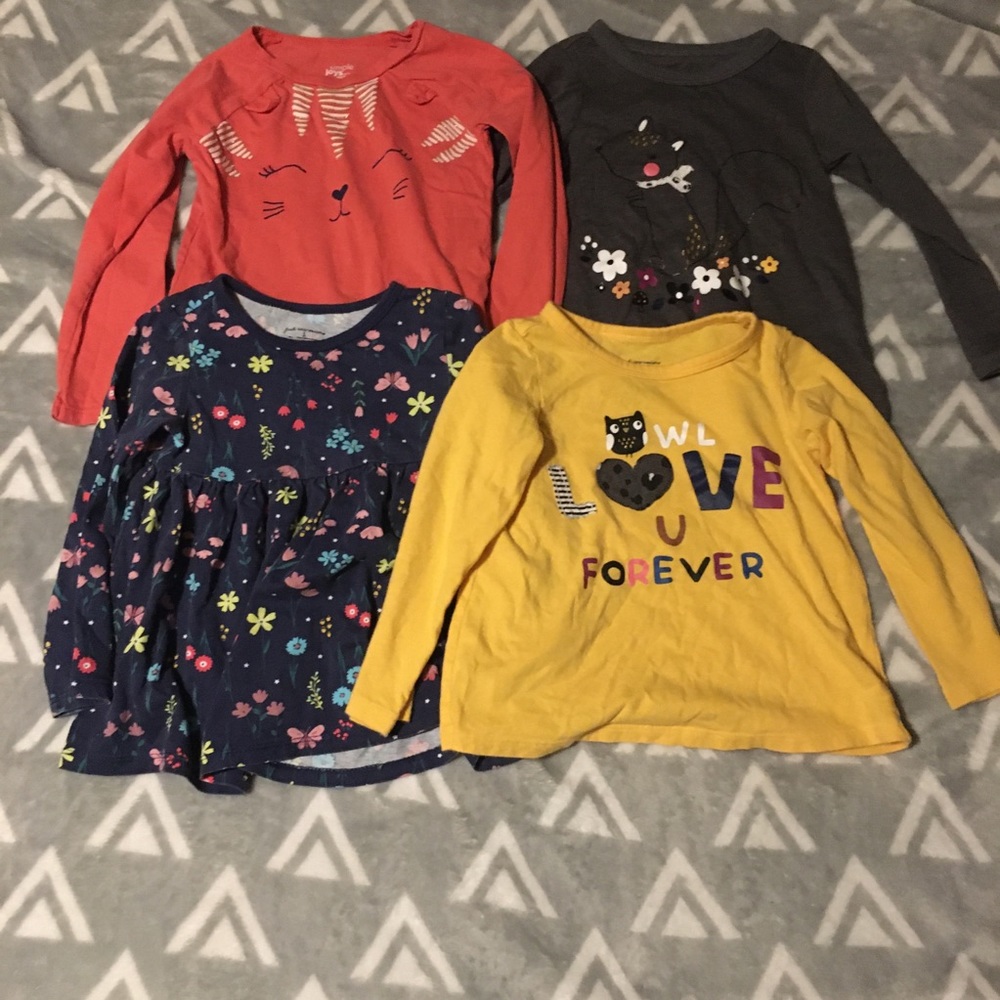 Lot of 4 Long Sleeve Tees - Sz 2T